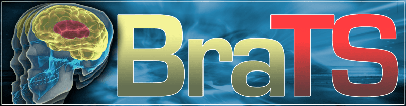 BraTS2023 Dataset -How does BraTS2023 data improve tumor segmentation accuracy?