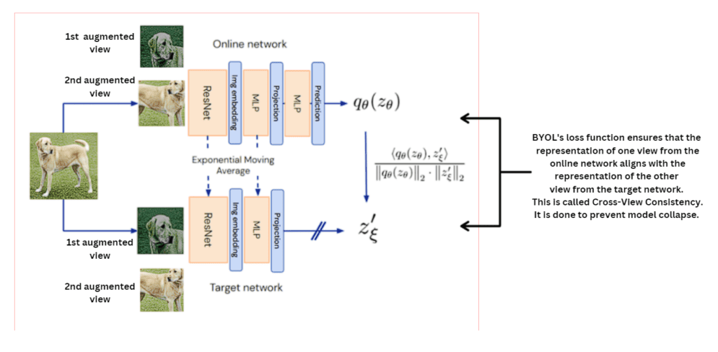 Illustration of BYOL's learning loop showing two augmented views processed by the online and target networks.