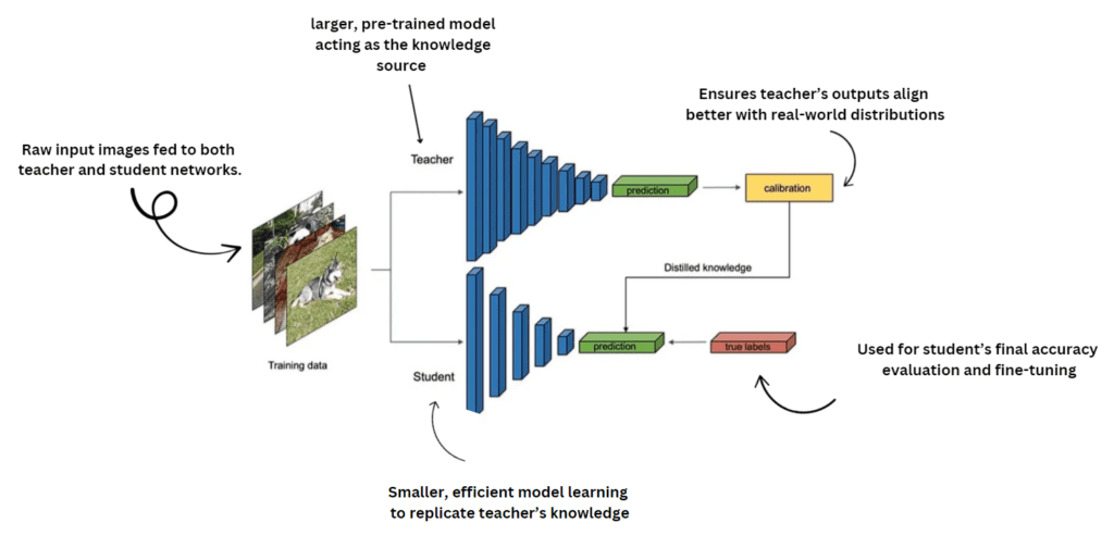 A student-teacher knowledge distillation framework where raw input images are processed by both the teacher (a larger pre-trained model) and the student (a smaller, efficient model). The teacher's calibrated outputs guide the student via distilled knowledge. The student’s predictions are evaluated against true labels for fine-tuning.