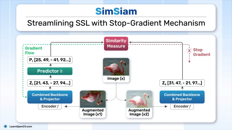 SimSiam's Representation Learning, demonstrating the role of the Stop-Gradient mechanism in Self-Supervised Learning (SSL).