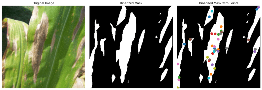 finetuning sam2 - dataset prep