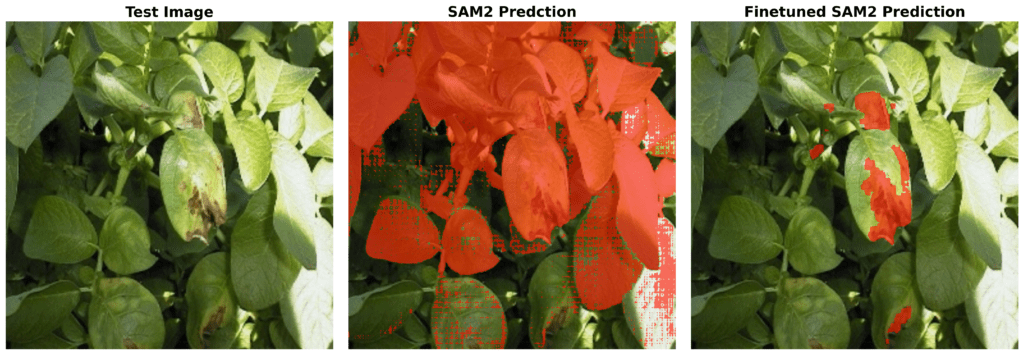 finetuning sam2 - prediction result