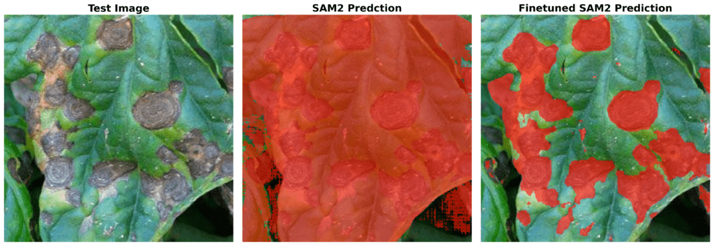 finetuning sam2 - prediction result