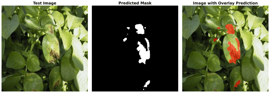 finetuning sam2 - prediction result