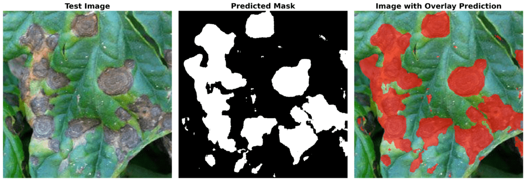 finetuning sam2 - prediction result