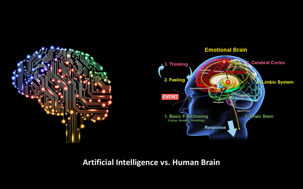 MatAnyone, video editing, video composites, alpha matte, matting, human brain, neural networks