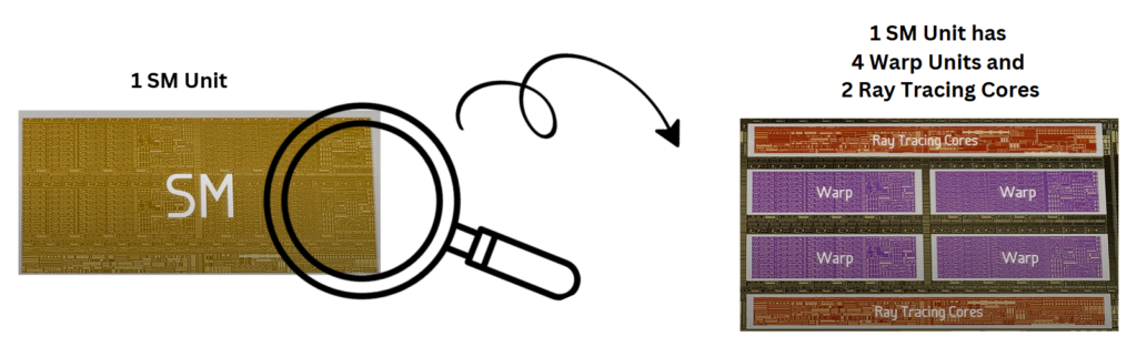 A split illustration: on the left, a golden-hued rectangular block labeled “SM” represents a single Streaming Multiprocessor on the GPU die, with a magnifying-glass graphic highlighting its right edge. An arrow points right to the enlarged interior of that SM, revealing four purple-shaded “Warp” blocks arranged in a 2×2 grid, flanked above and below by orange-shaded “Ray Tracing Cores” blocks. This emphasizes that each SM contains four warps and two dedicated ray-tracing cores.