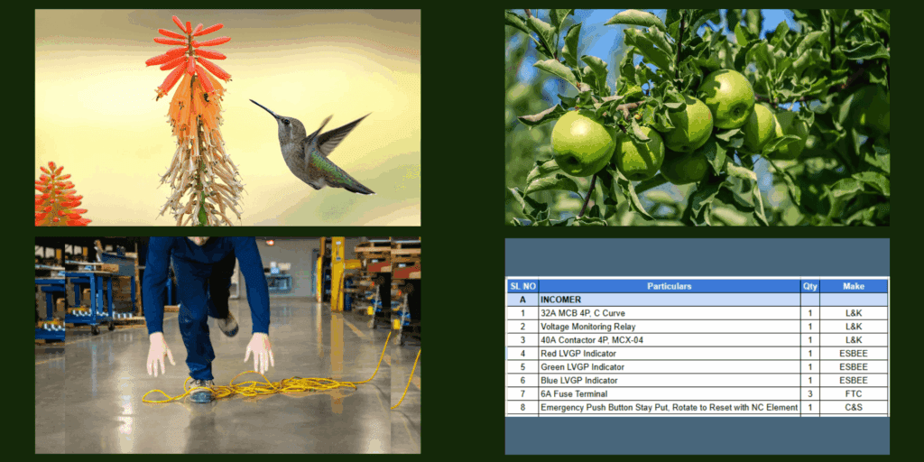 Set of images for testing capability of Moondream3 Preview model, to build ai agent out of it