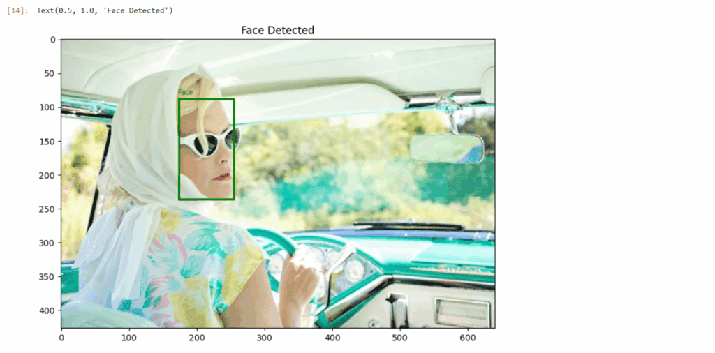 face detected using monndream2 vlm on jetson nano