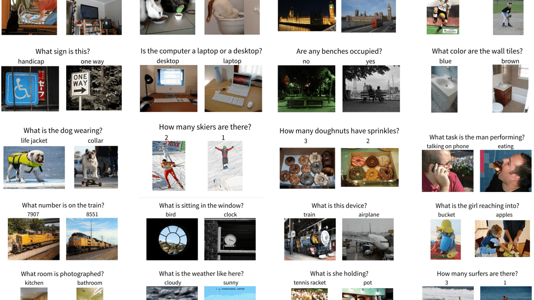 VLM Evaluation Metrics dataset for VQA
